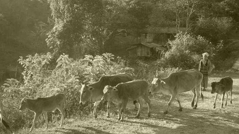 5576134435_e59f76d2c6_o